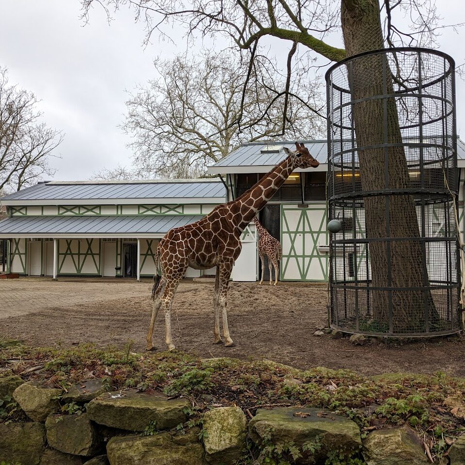 ARTIS ZOO